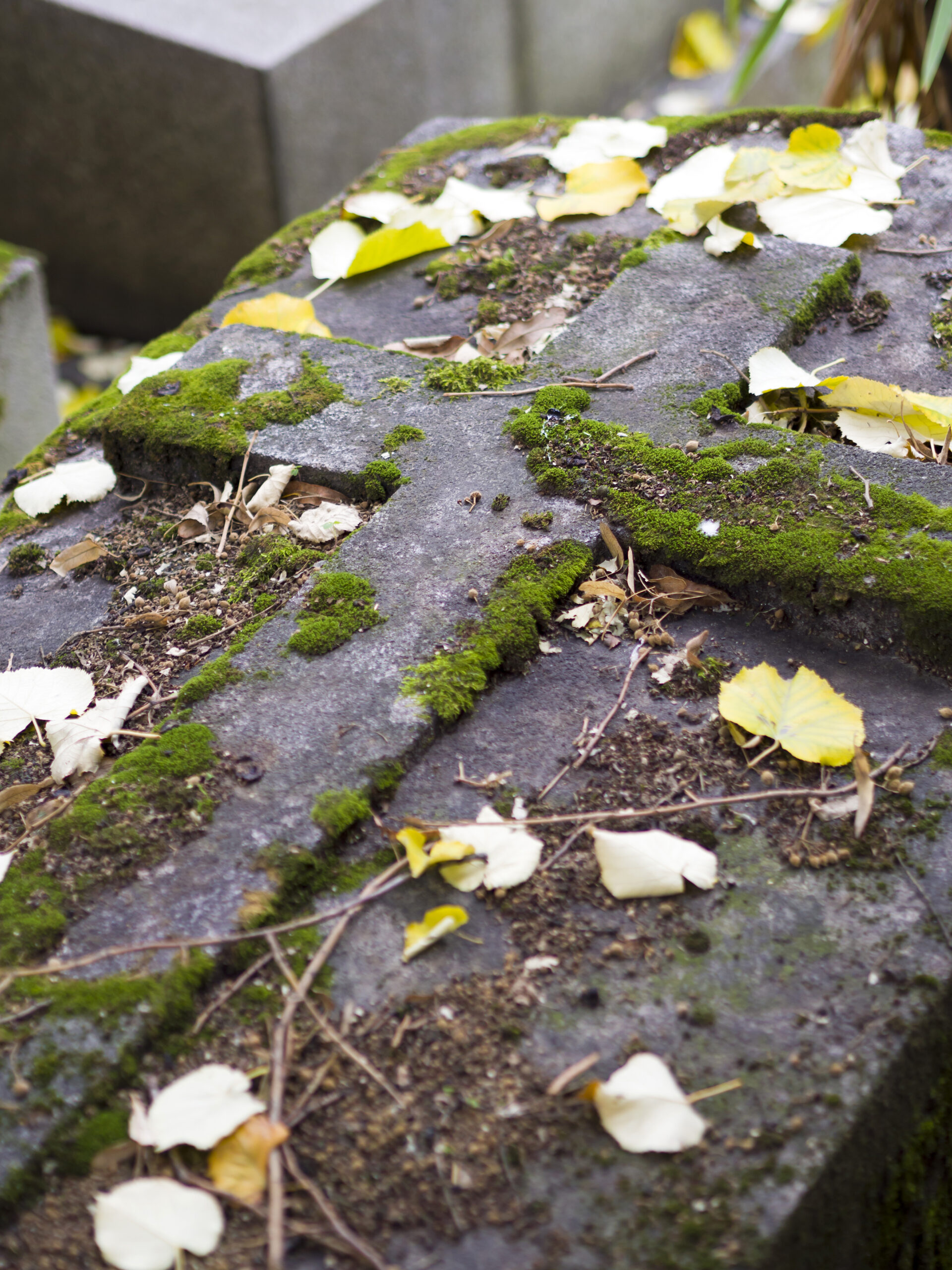 old nameless tombstone in cemetery setting shallow depth of field